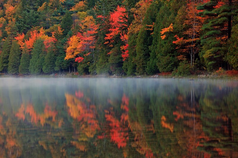 Autumn Trees at Lake — Red, Serene