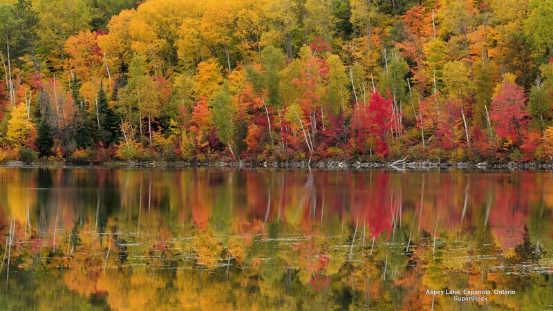 Autumn Trees at Lake — Red