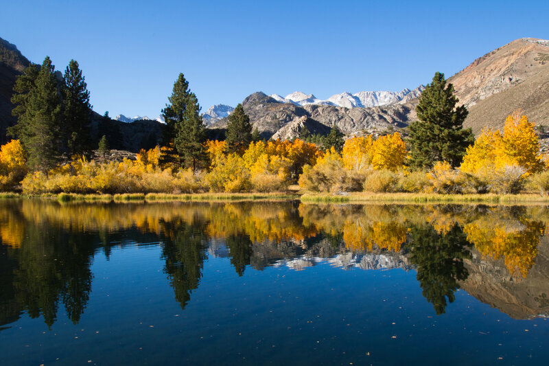Autumn Trees at Lake