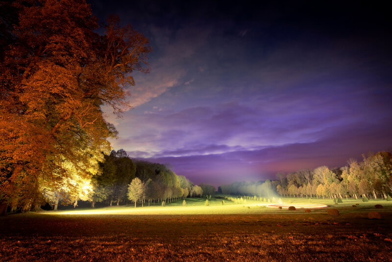 Autumn Trees at Night — Purple