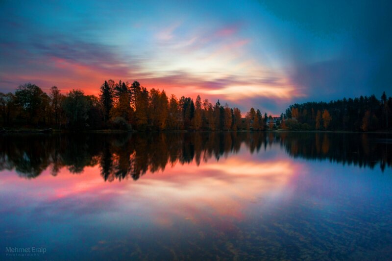 Autumn Trees at Sunset — Blue, Serene