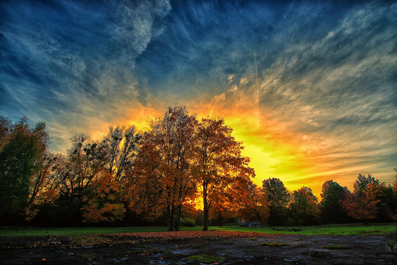 Autumn Trees at Sunset — Blue
