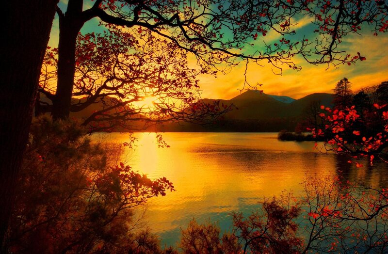 Autumn Trees at Sunset — Gold