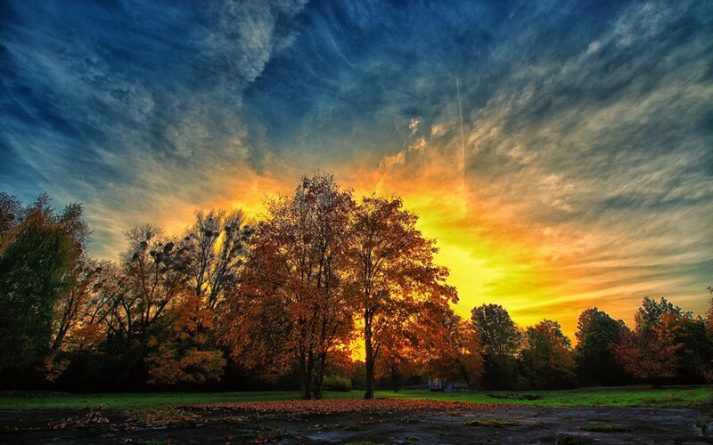 Autumn Trees at Sunset — Orange, Dramatic, Photograph, Sky, Fallen Leaves