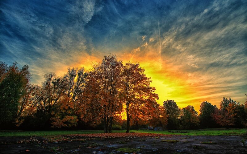 Autumn Trees at Sunset — Orange, Dramatic, Photograph, Sky, Grass