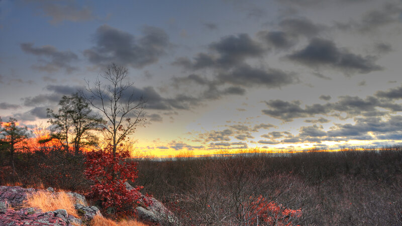 Autumn Trees at Sunset — Orange, Dramatic, Photograph, Sky