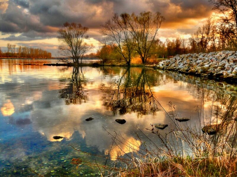 Autumn Trees at Sunset — Orange, Dramatic, Photograph