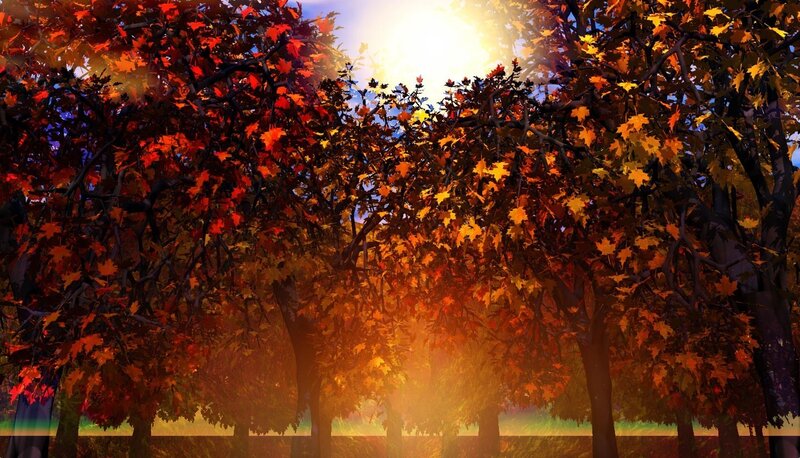 Autumn Trees at Sunset — Orange, Serene, 3d Render