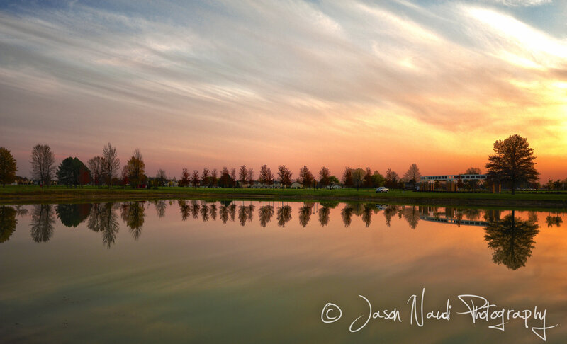 Autumn Trees at Sunset — Orange, Serene, Photograph