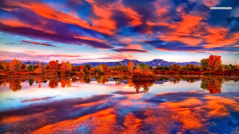 Autumn Trees at Sunset — Red, Dramatic, Photograph