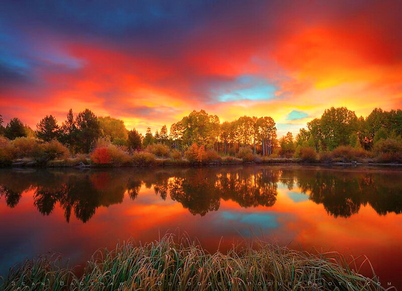 Autumn Trees at Sunset — Red, Dramatic