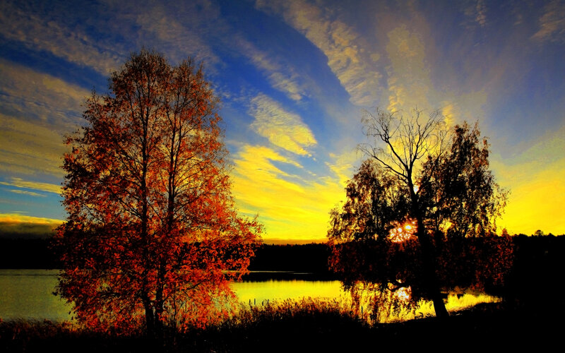 Autumn Trees at Sunset — Yellow