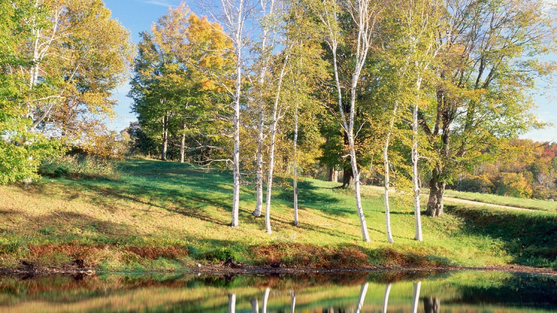 Autumn trees by a calm lake