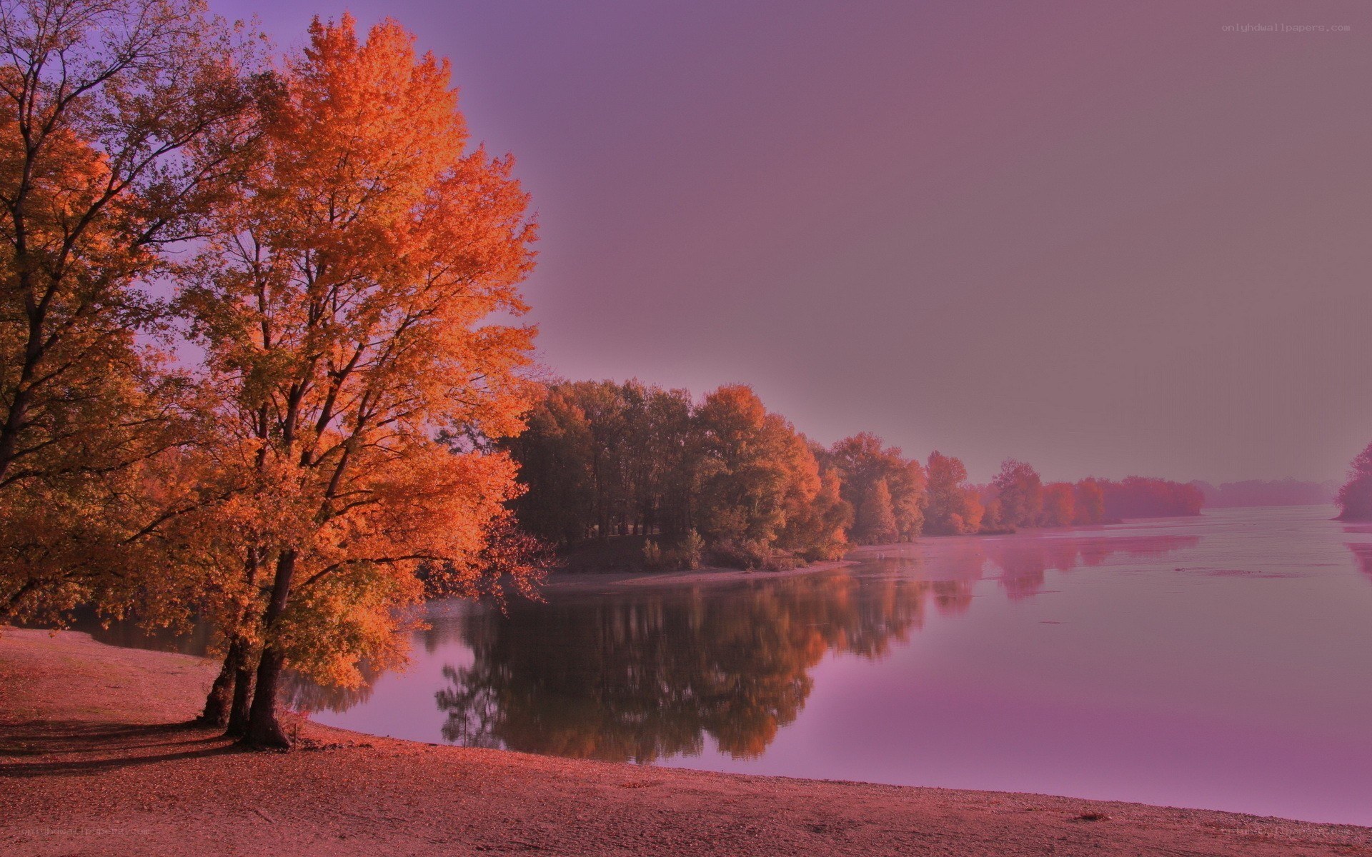 Autumn trees by a calm river