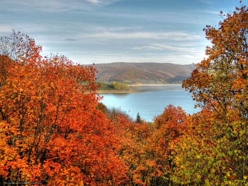 Autumn trees by a lake