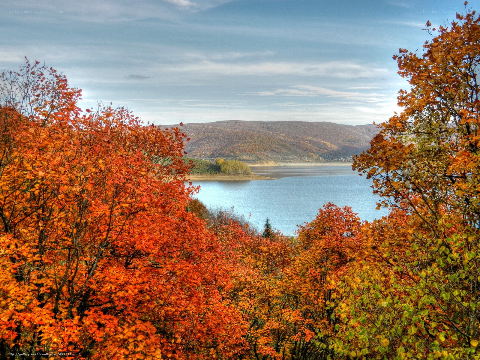 Autumn trees by a lake