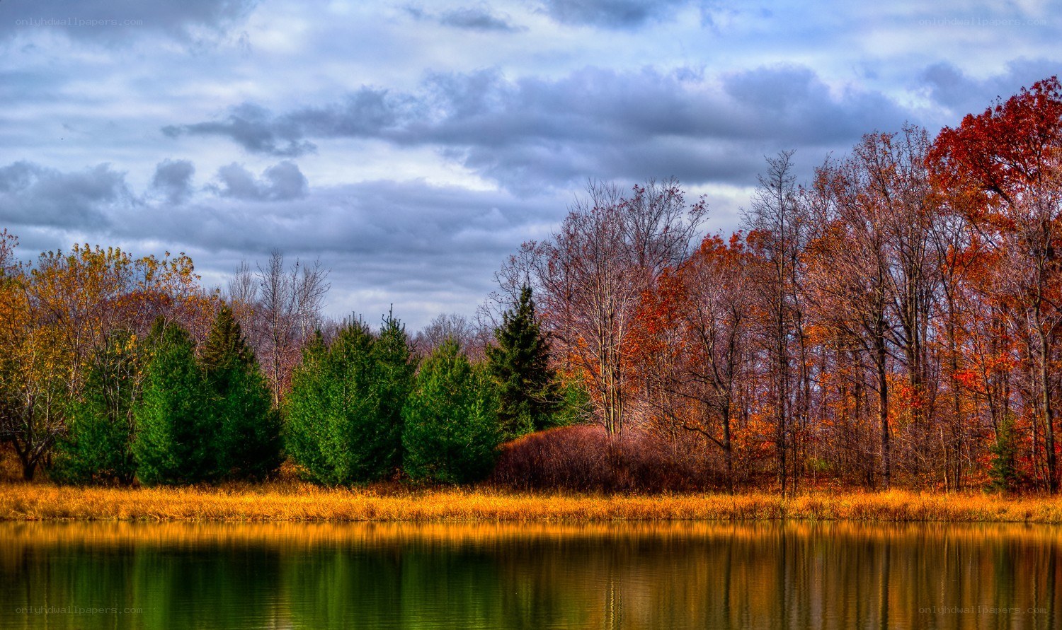 Autumn trees by a lake
