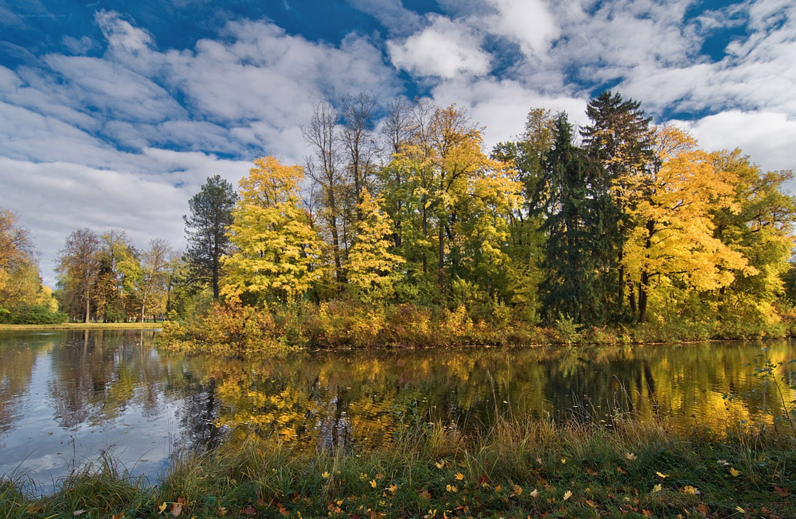 Autumn trees by a lake