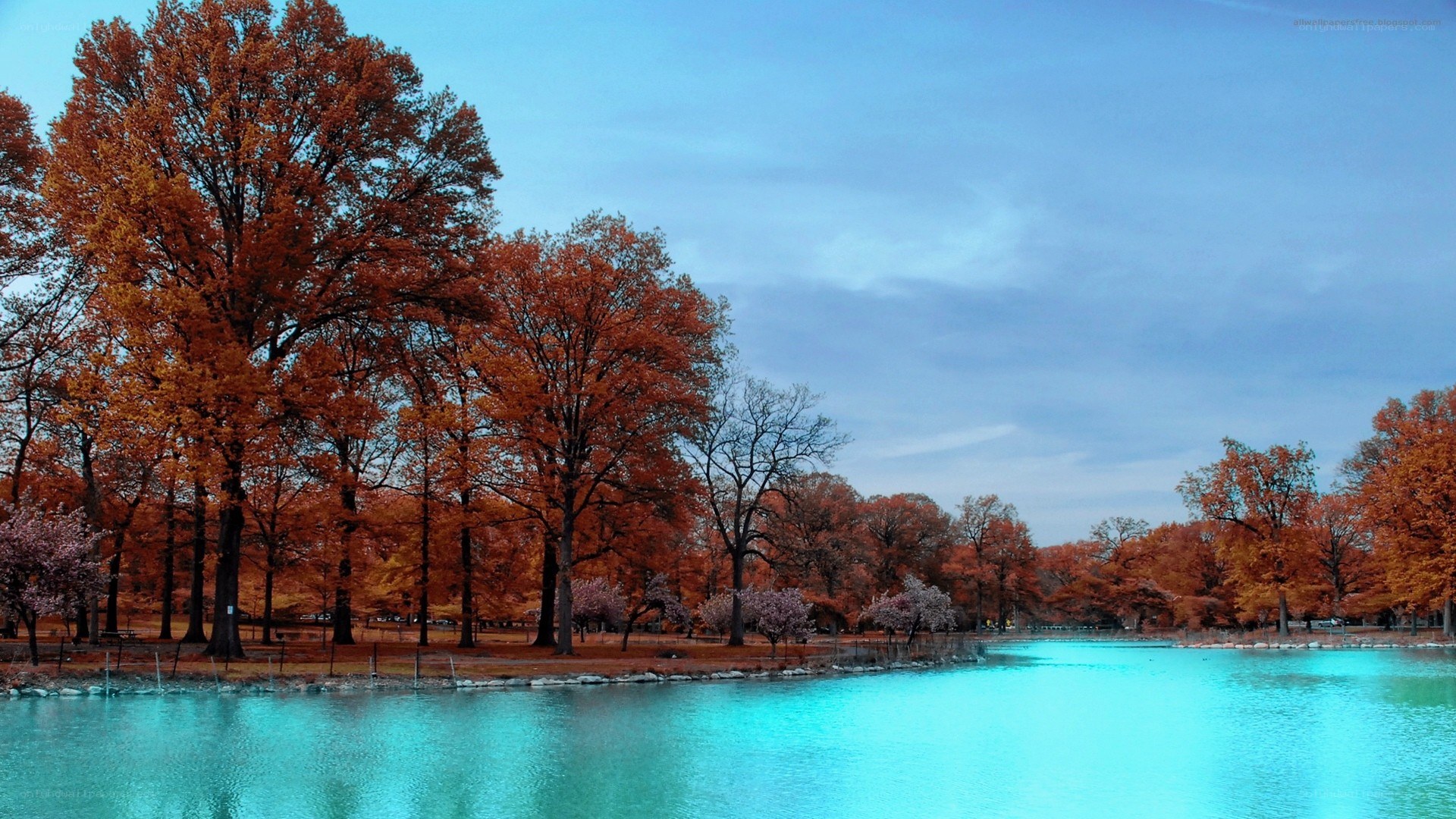Autumn trees by a lake