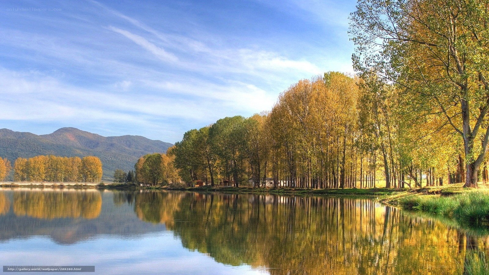 Autumn trees by a lake