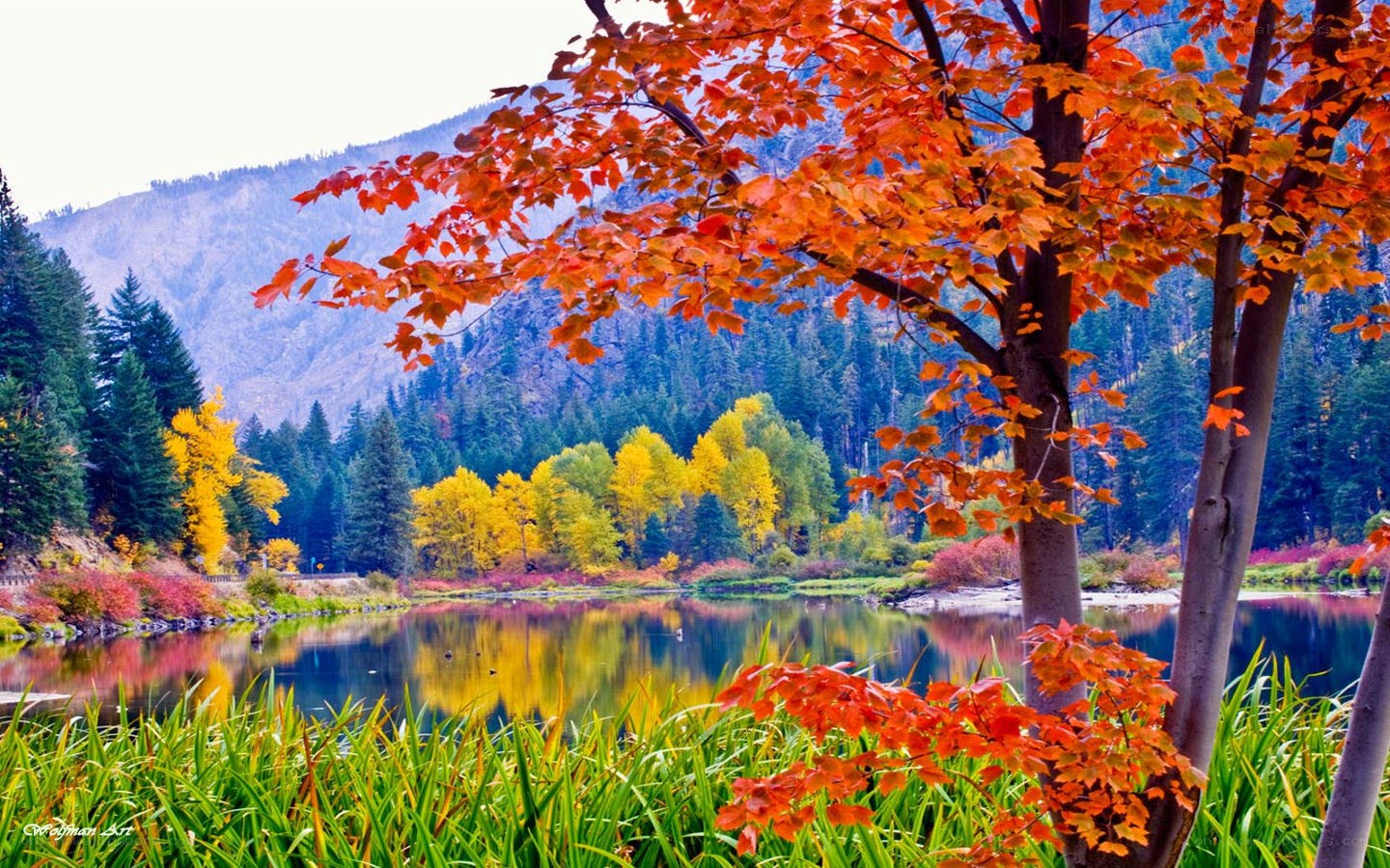 Autumn trees by a lake