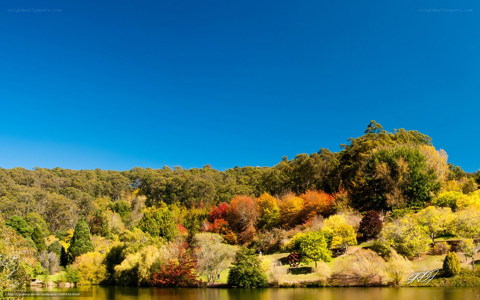 Autumn trees by a lake