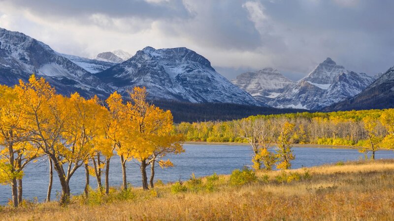 Autumn trees by a mountain lake