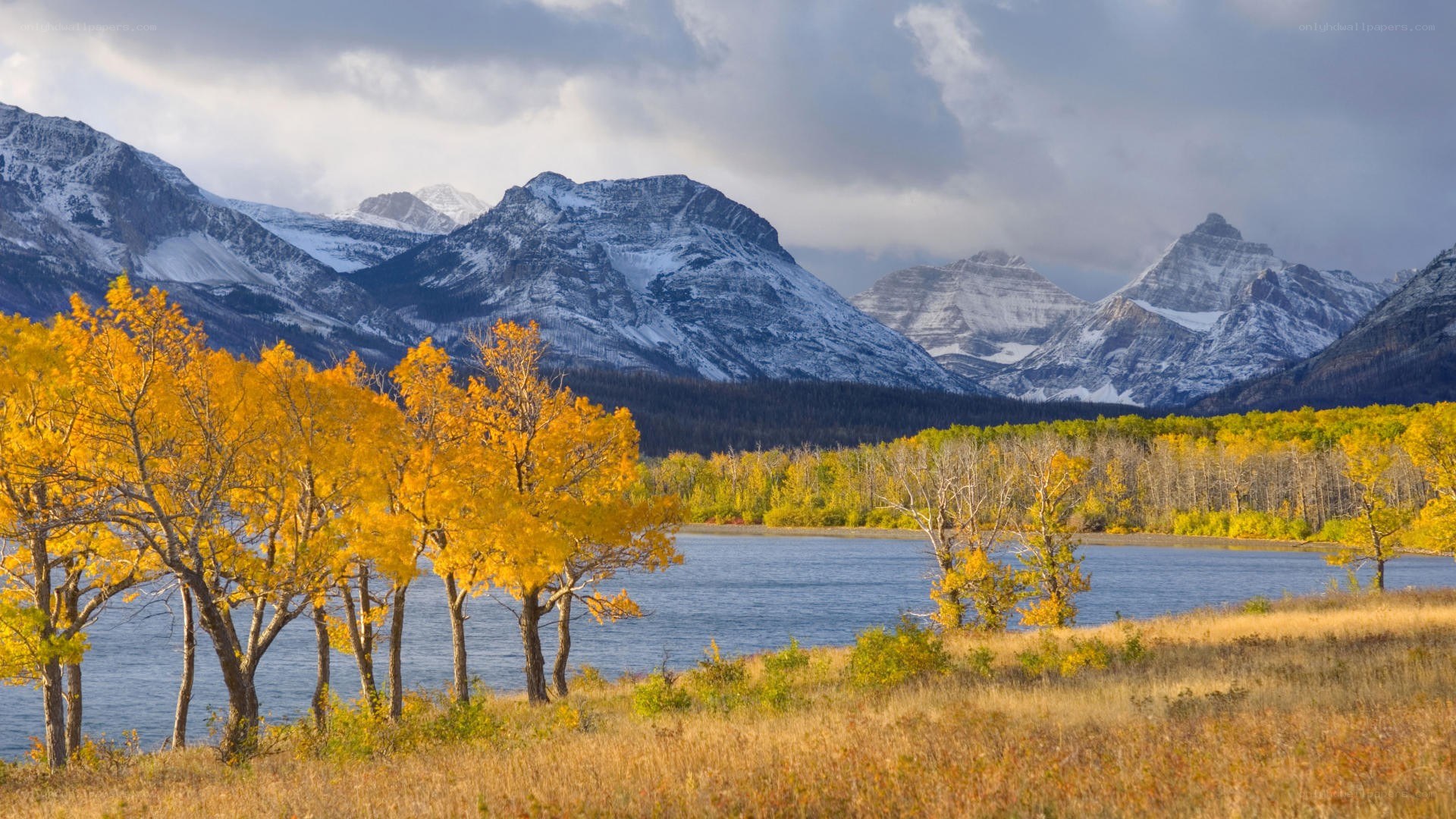 Autumn trees by a mountain lake