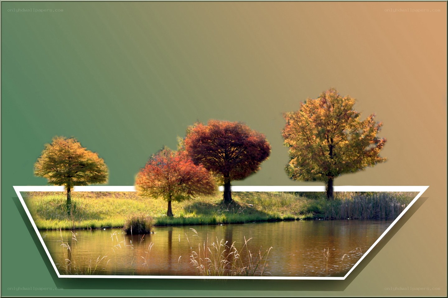 Autumn trees by a pond