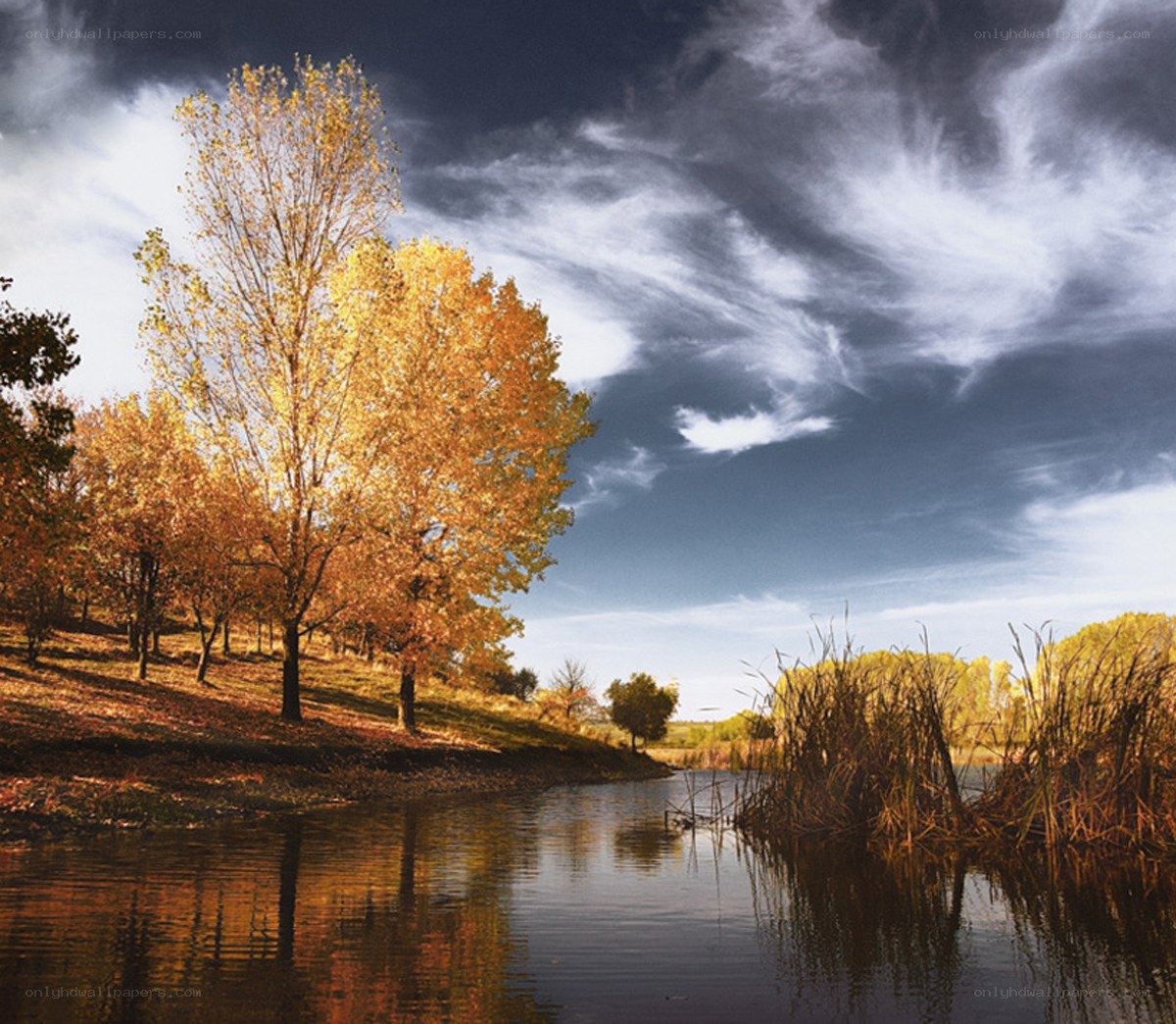 Autumn trees by a river