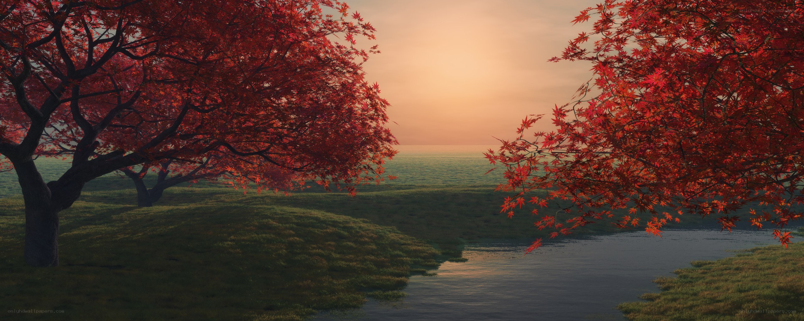 Autumn trees by a river