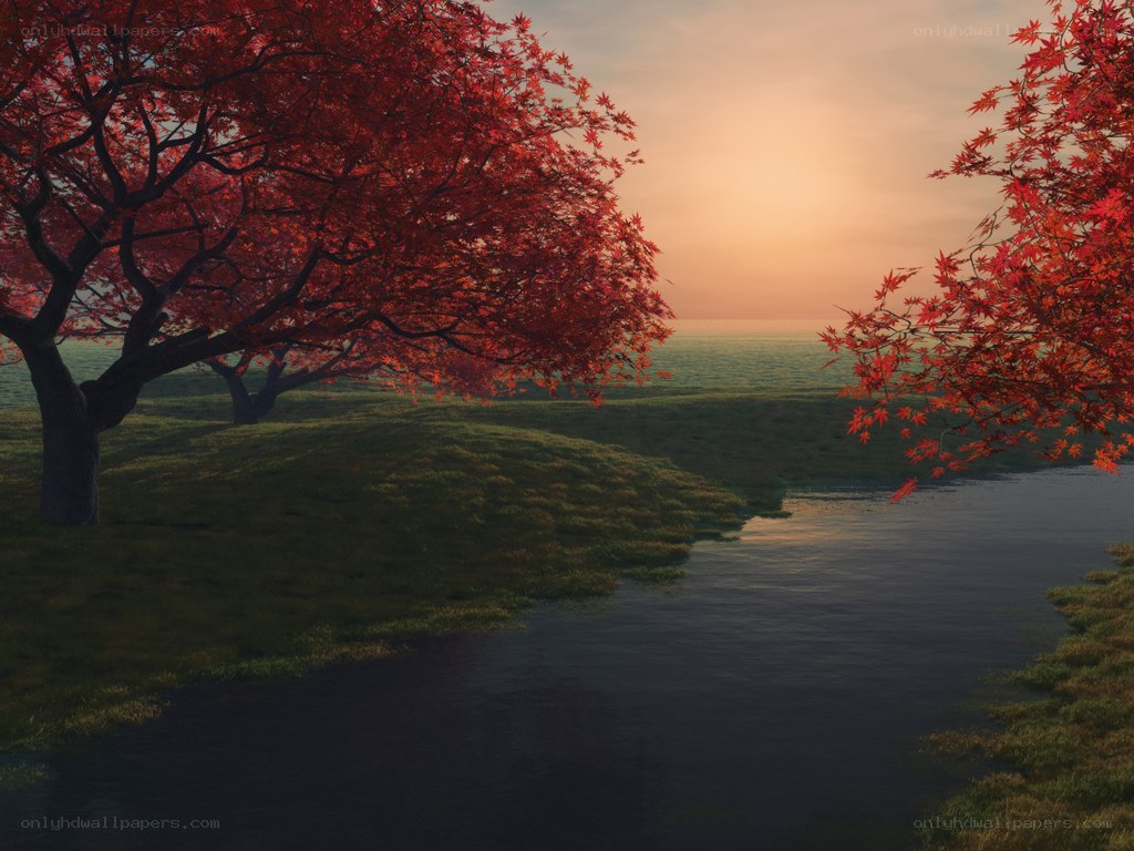 Autumn trees by a river at sunset