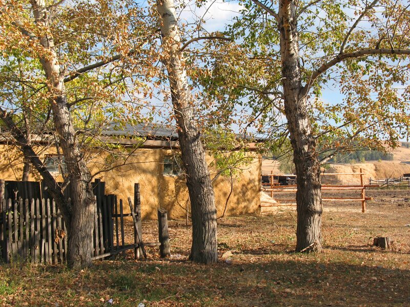 Autumn trees by a rural house