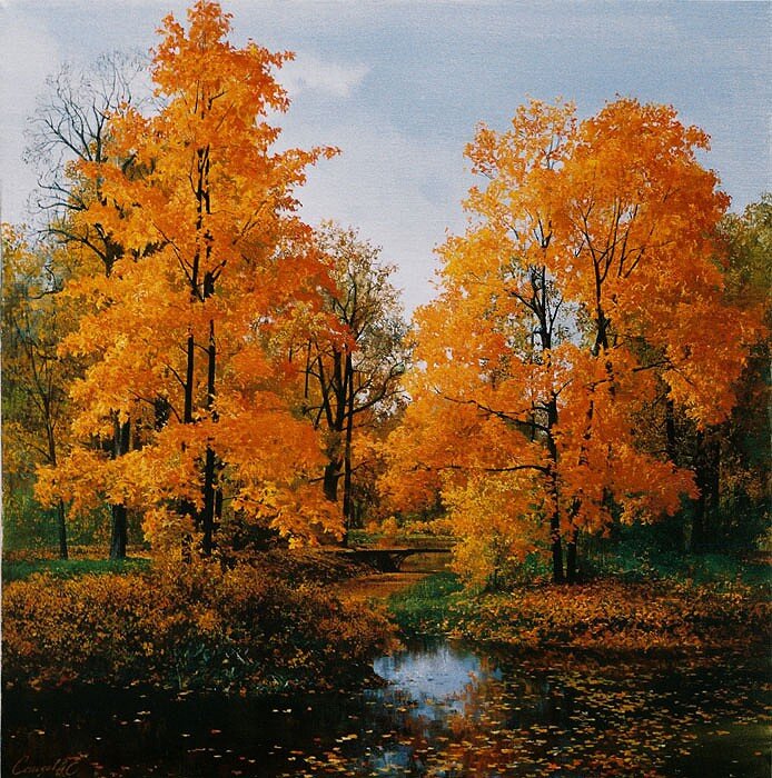Autumn trees by a stream