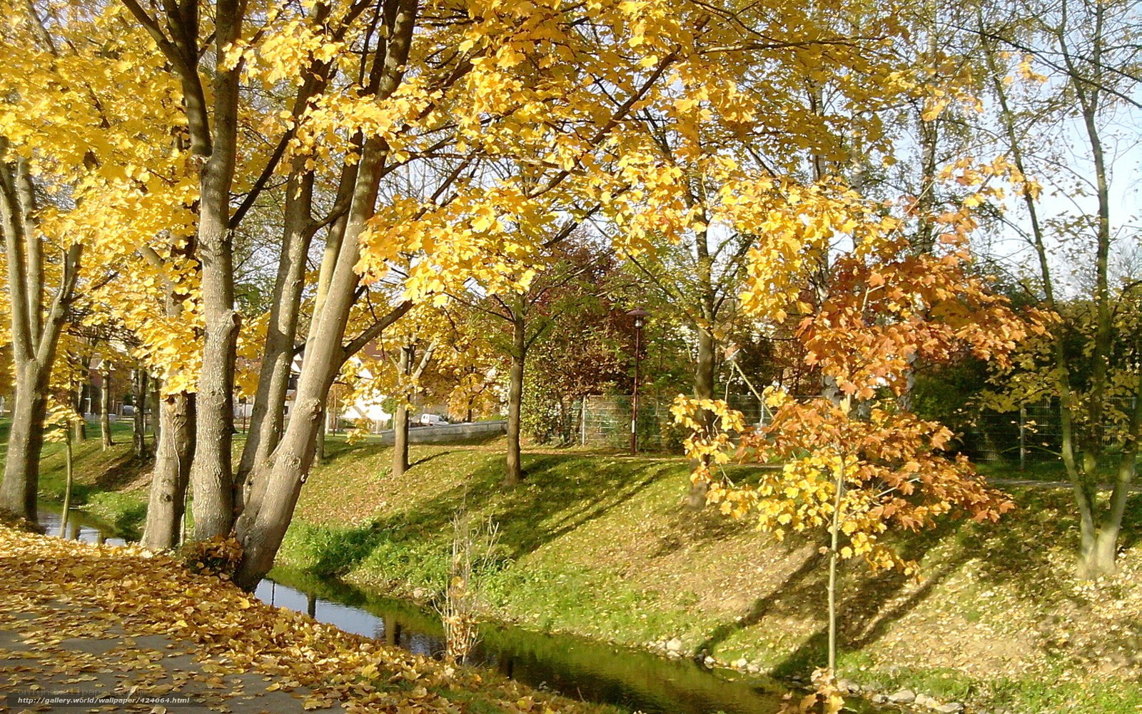 Autumn trees by a stream