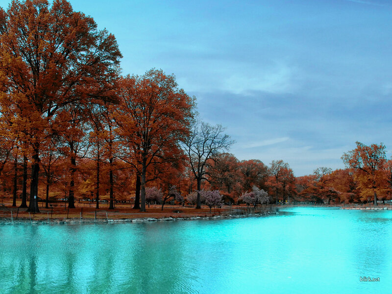 Autumn trees by a turquoise lake