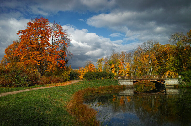 Autumn Trees by Bridge — Orange