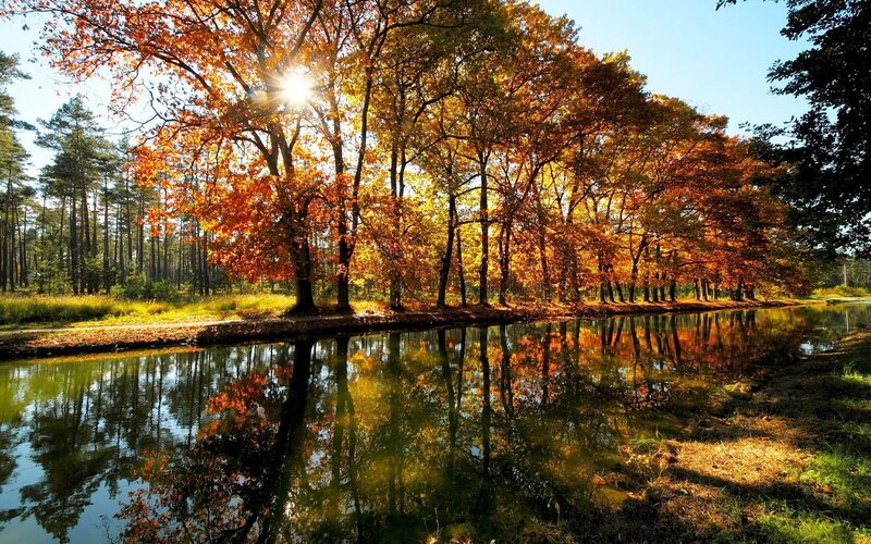 Autumn Trees by Canal — Orange, Serene, Photograph