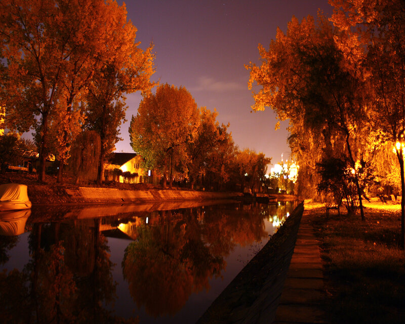 Autumn Trees by Canal — Orange, Serene