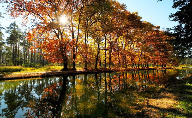 Autumn Trees by Canal — Orange