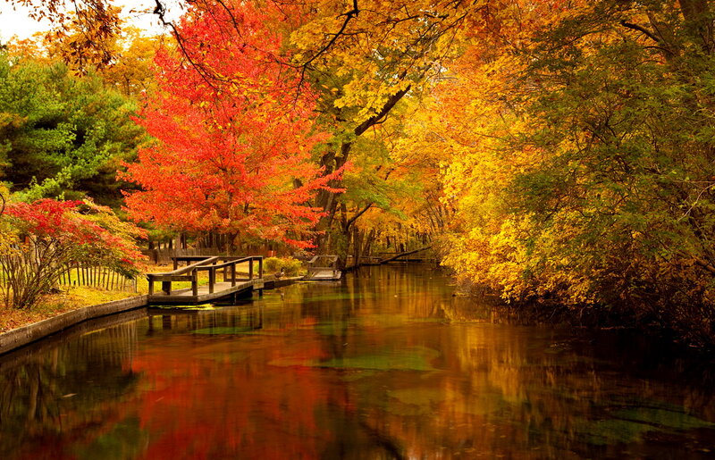 Autumn Trees by Canal — Red