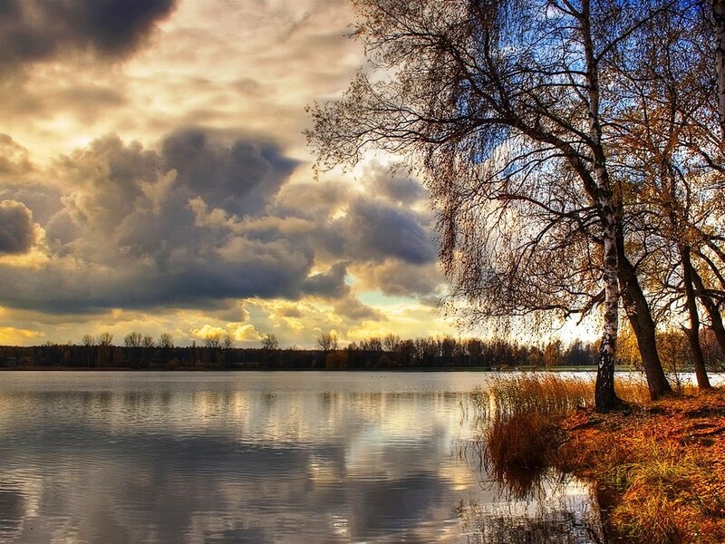 Autumn Trees by Lake — Blue, Dramatic, Photograph, Clouds, Sky