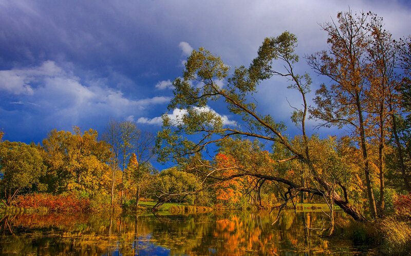 Autumn Trees by Lake — Blue, Dramatic, Photograph, Sky