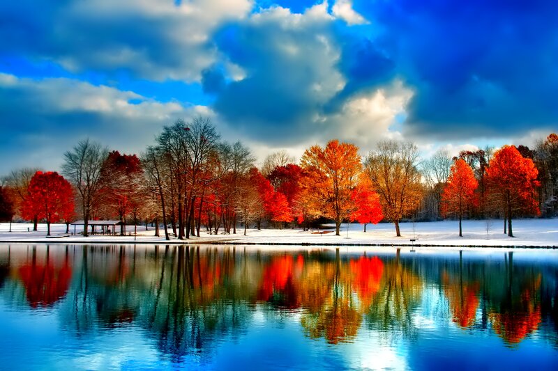 Autumn Trees by Lake — Blue, Dramatic, Photograph, Snow