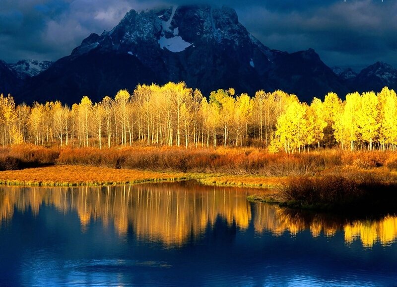 Autumn Trees by Lake — Blue, Dramatic, Photograph