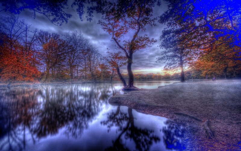 Autumn Trees by Lake — Blue, Dramatic, Sunset, Photograph