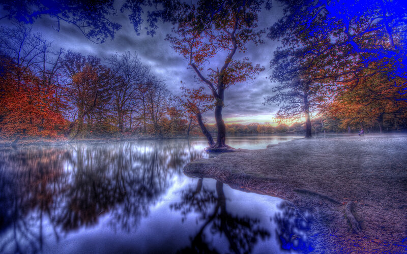 Autumn Trees by Lake — Blue, Dramatic, Sunset