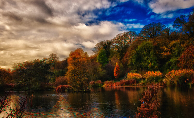 Autumn Trees by Lake — Blue, Dramatic