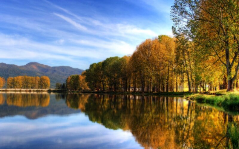 Autumn Trees by Lake — Blue, Reflection