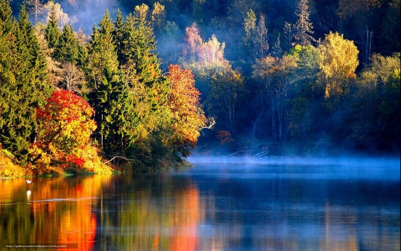 Autumn Trees by Lake — Blue, Serene, Morning, Photograph, Mist, Reflection